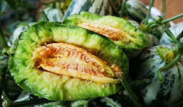 tai9最新吃瓜爆料